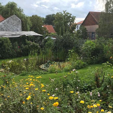 Schoene Gemuetliche Ferienwohnung Mit Kamin I Im Harz Darlingerode Екстериор снимка