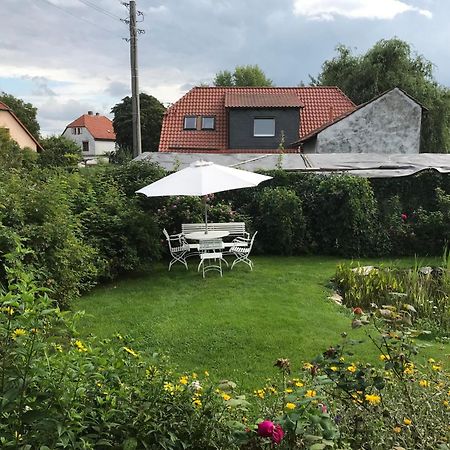 Schoene Gemuetliche Ferienwohnung Mit Kamin I Im Harz Darlingerode Екстериор снимка
