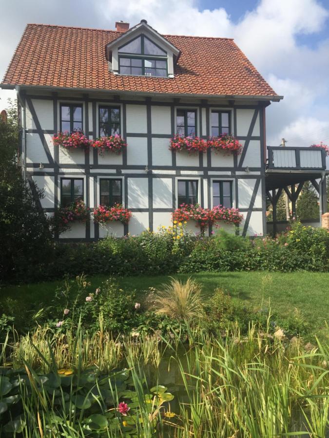 Schoene Gemuetliche Ferienwohnung Mit Kamin I Im Harz Darlingerode Екстериор снимка