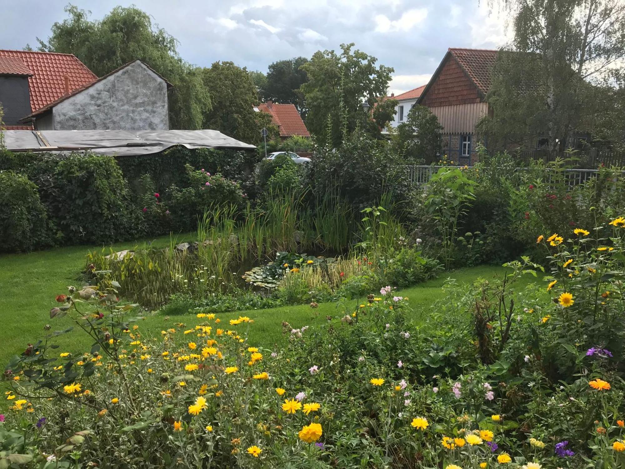 Schoene Gemuetliche Ferienwohnung Mit Kamin I Im Harz Darlingerode Екстериор снимка